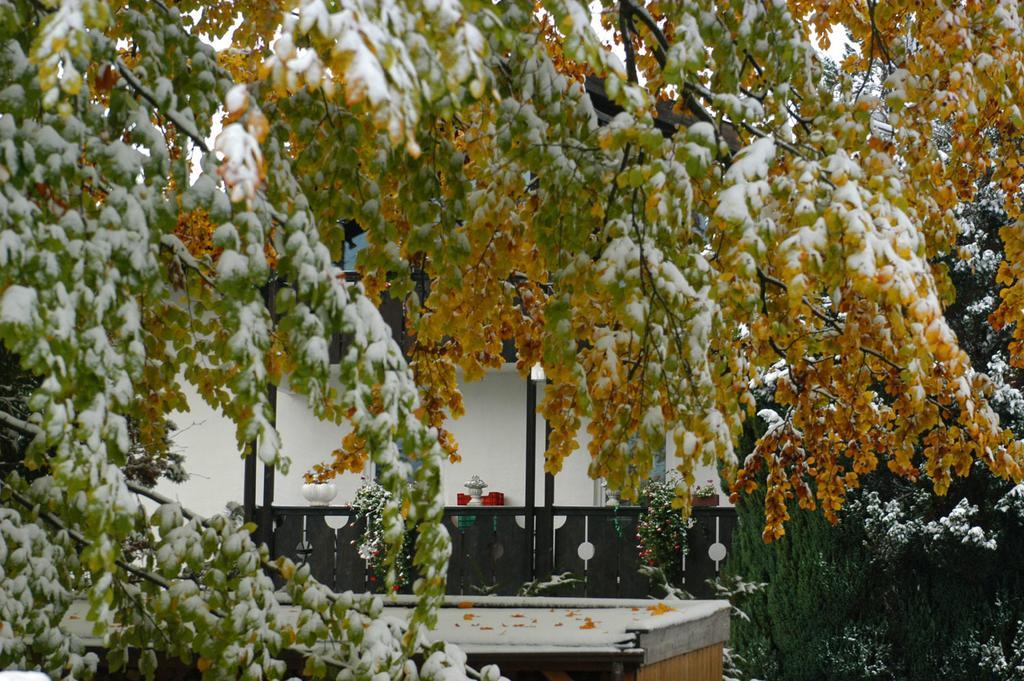 Landhaus Alpenblick Apartment Garmisch-Partenkirchen Bagian luar foto